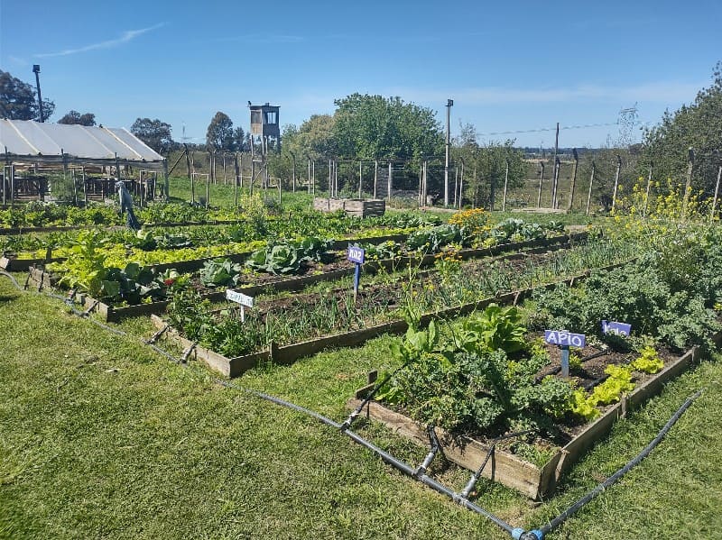 Huerta